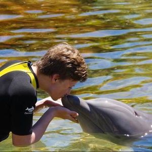 Meet your Posher, Parker